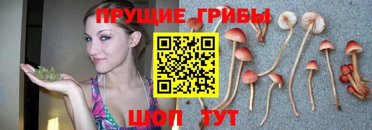Качканар  продажа наркотиков  Вход с VPN  Галлюциногенные грибы MAGIC MUSHROOMS 